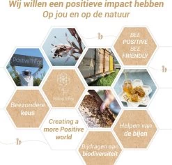 Ophangsysteem - Plafondhaak RVS - Ophanghaak TRX - Hangstoel Buiten - Hangstoel Binnen – Schommelstoel - Schommel - Bokszakken - RVS - 300kg -Tuinmeubel Winkel 1200x1150