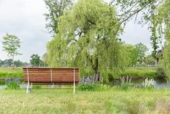 MaximaVida Tuinbank Budapest Oil 170 Cm - Uit Exclusief Mahoniehout -Tuinmeubel Winkel 1200x800 10