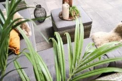 Fonteyn | Loungeset Connor | Melange 24 Fonteyn | Loungeset Connor | Melange -Tuinmeubel Winkel 1200x800 244